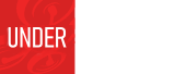 Drones Under 250 Grams